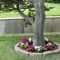 Adorable Flower Beds Ideas Around Trees To Beautify Your Yard 39