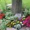 Adorable Flower Beds Ideas Around Trees To Beautify Your Yard 48