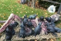 Newest Diy Outdoor Halloween Decor Ideas That Very Scary 09