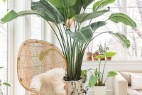 Rustic Houseplants Design Ideas That Are Safe For Animals 03