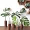 Rustic Houseplants Design Ideas That Are Safe For Animals 47