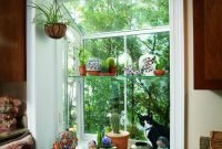 Lovely Window Design Ideas With Plants That Make Your Home Cozy 06