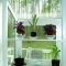 Lovely Window Design Ideas With Plants That Make Your Home Cozy 07