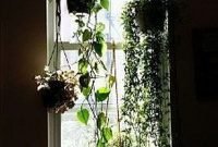 Lovely Window Design Ideas With Plants That Make Your Home Cozy 09