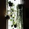 Lovely Window Design Ideas With Plants That Make Your Home Cozy 09