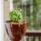 Lovely Window Design Ideas With Plants That Make Your Home Cozy 11