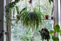 Lovely Window Design Ideas With Plants That Make Your Home Cozy 14