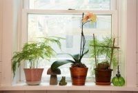 Lovely Window Design Ideas With Plants That Make Your Home Cozy 16