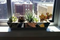 Lovely Window Design Ideas With Plants That Make Your Home Cozy 17