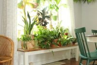 Lovely Window Design Ideas With Plants That Make Your Home Cozy 18