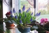 Lovely Window Design Ideas With Plants That Make Your Home Cozy 21