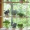Lovely Window Design Ideas With Plants That Make Your Home Cozy 23
