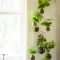 Lovely Window Design Ideas With Plants That Make Your Home Cozy 35
