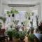 Lovely Window Design Ideas With Plants That Make Your Home Cozy 37