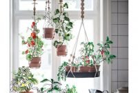 Lovely Window Design Ideas With Plants That Make Your Home Cozy 42